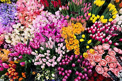 Steam差评如潮后 类怪猎游戏《无畏》5月正式关服