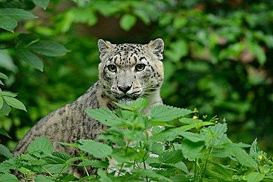 《七日杀》开发商新作 《七日血月》新实机演示公布