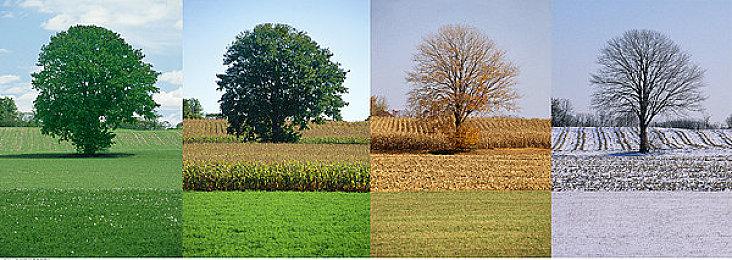 《夜勤病栋》Steam中文版已发售 特惠价60.8元