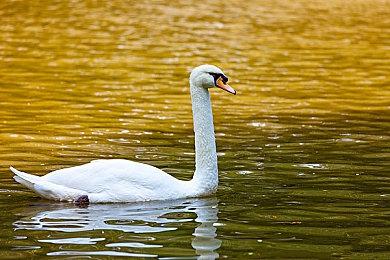 Steam喜加一：动作冒险游戏《虚构世界》免费领取